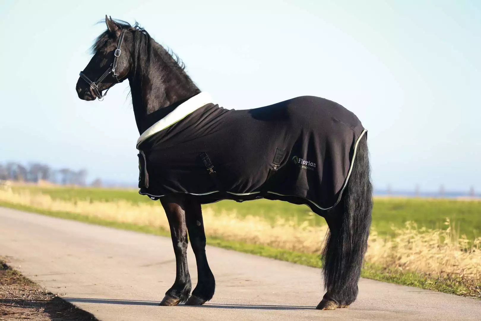 Paard met Florian paardenvoer deken in de natuur, Florian Horsefood Powered by Nature.