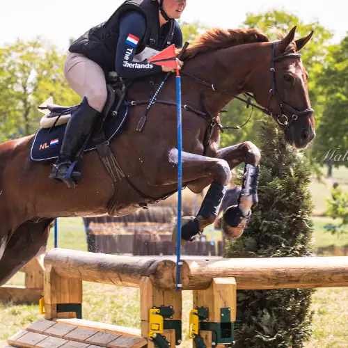 Paardenspringen met Florian Horsefood, gezond en natuurlijk paardenvoer.