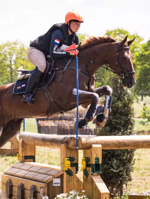 Paardenspringen met Florian Horsefood, gezond en natuurlijk paardenvoer.