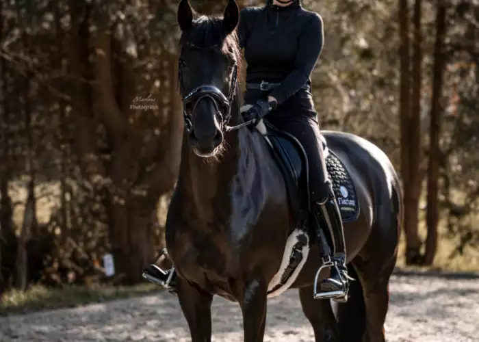 Rider on horseback with Florian Horsefood, healthy and natural horse feed.