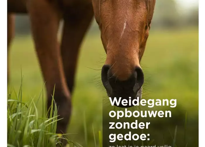 Pferd frisst Gras auf der Weide, Florian Horsefood Powered by Nature, gesundes Raufutter für Pferde.